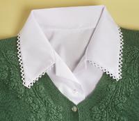 Is it blouse with a tastefully crocheted collar?  No!  It's a Dicky!