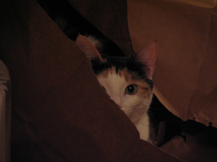 She thinks she's hiding.