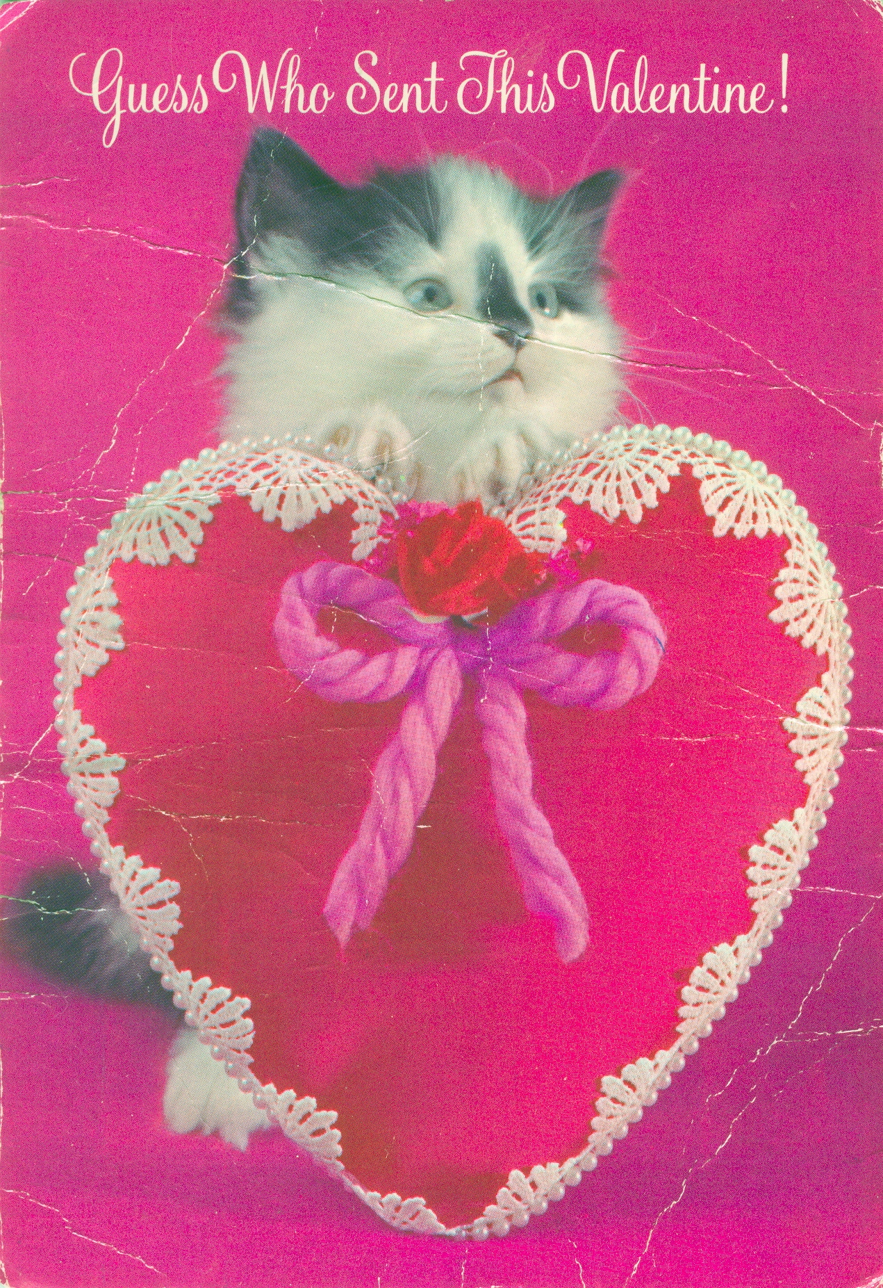 Sweet Kitty Valentine